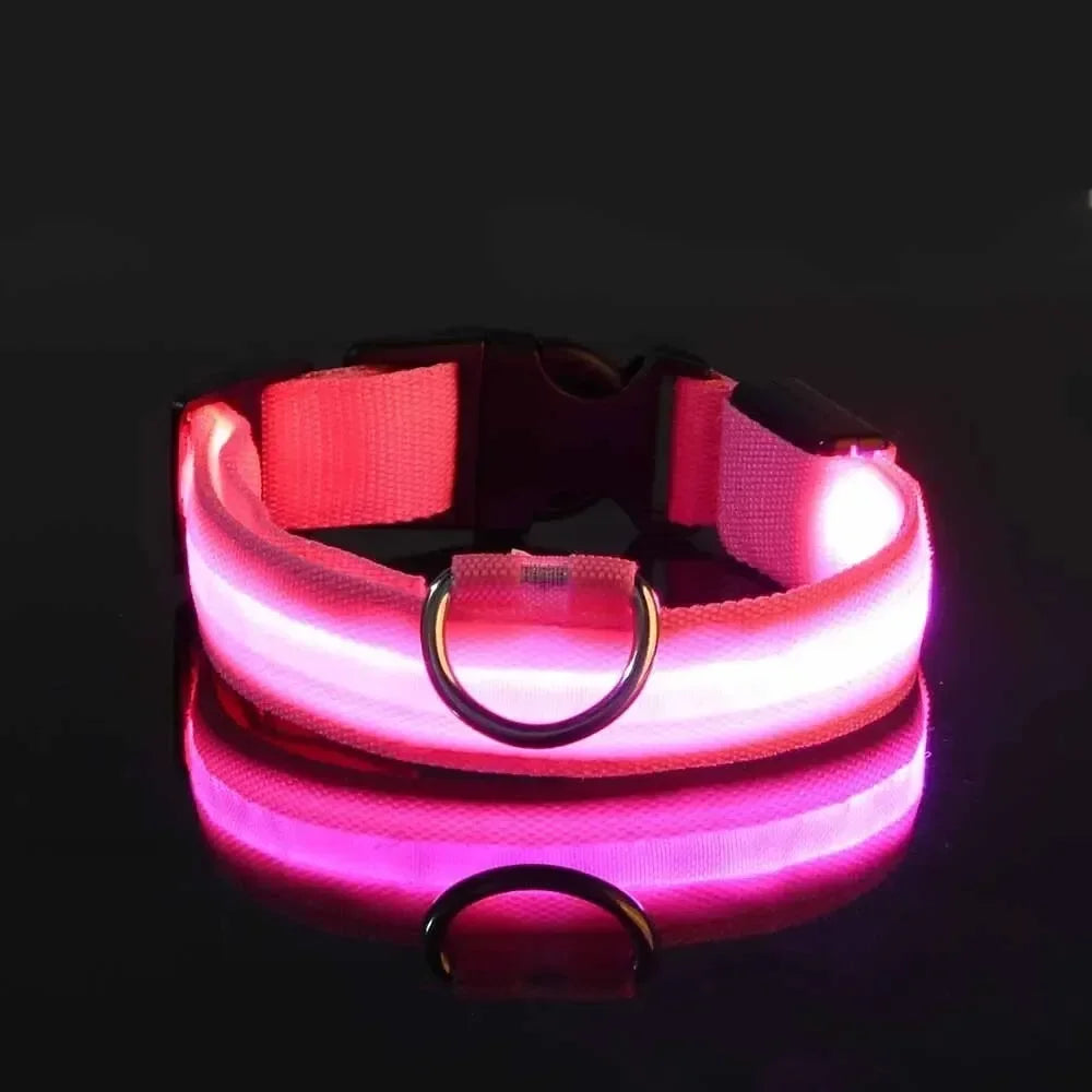 Furvio™Light Up LED Pet Dog Collar Safety Night Walking Flashing Glow In The Dark LED Pet Dog Battery Collar Small Medium Large Dog