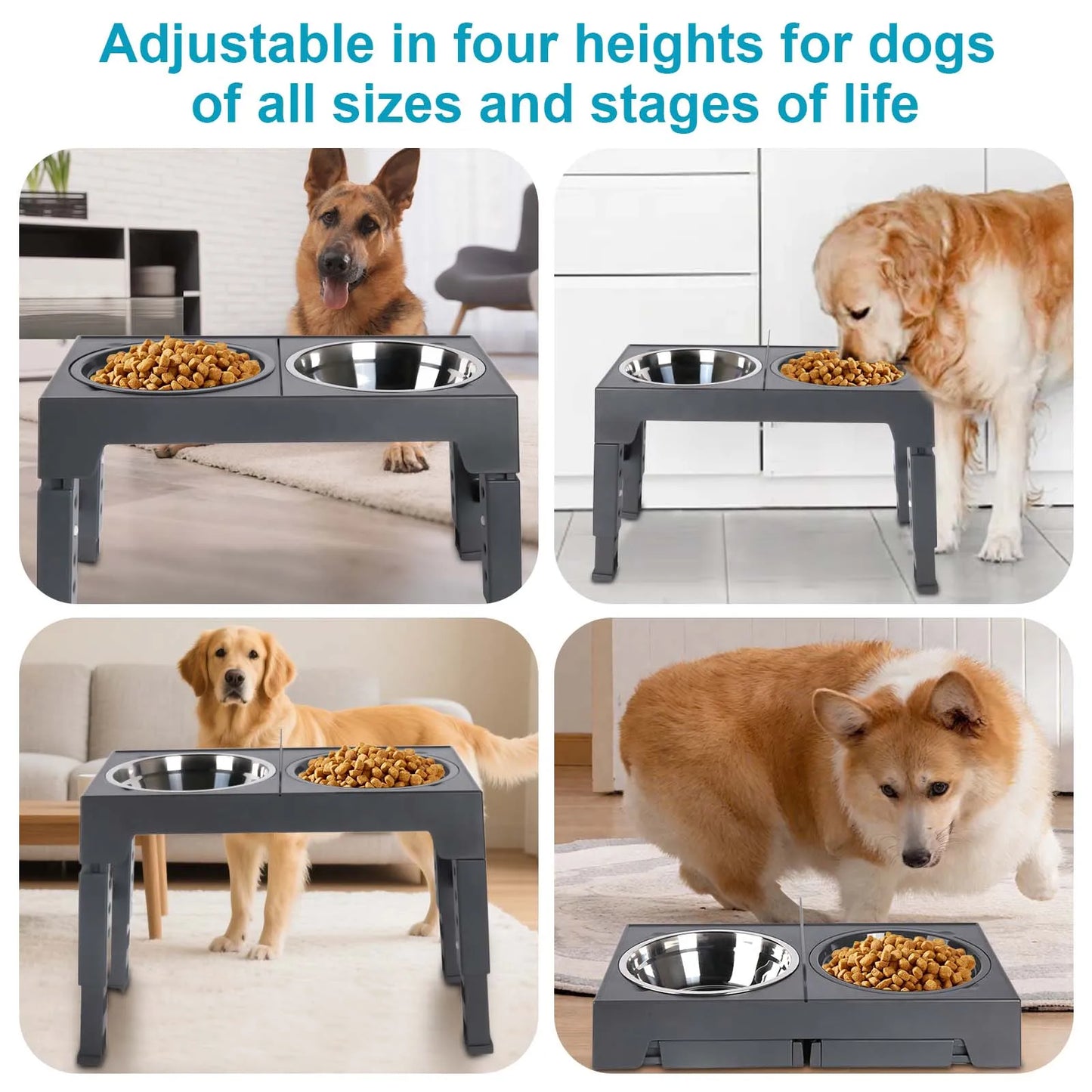 Furvio™Lifting Adjustable Pet Bowl Set,Elevated Pet Bowl Foldable with 1000ml Stainless Steel Bowls for Protects Neck & Joints, Dry/Wet Separation for Dogs and Cats of All Ages