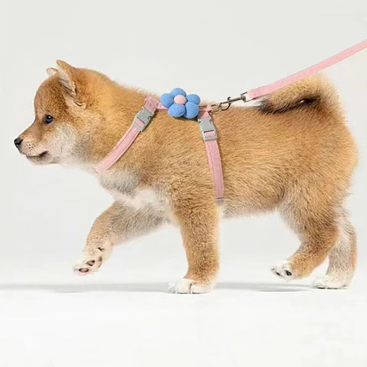 Furvio™ Cat Harness and Leash Sets Adjustable Dog Harness for Small Dog Leash Breashable Pet Harness Out Walking Dog Strap Cat Accessory
