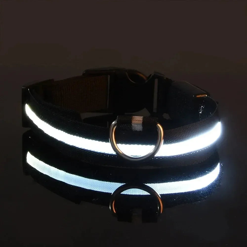 Furvio™Light Up LED Pet Dog Collar Safety Night Walking Flashing Glow In The Dark LED Pet Dog Battery Collar Small Medium Large Dog