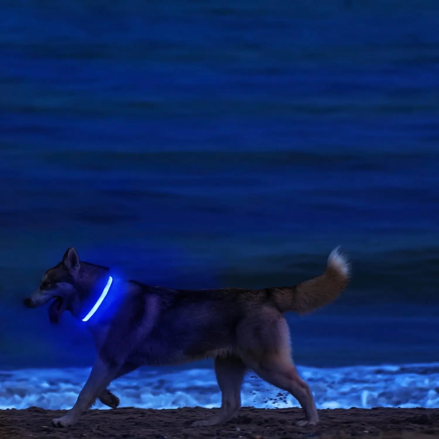 Furvio™Light Up LED Pet Dog Collar Safety Night Walking Flashing Glow In The Dark LED Pet Dog Battery Collar Small Medium Large Dog