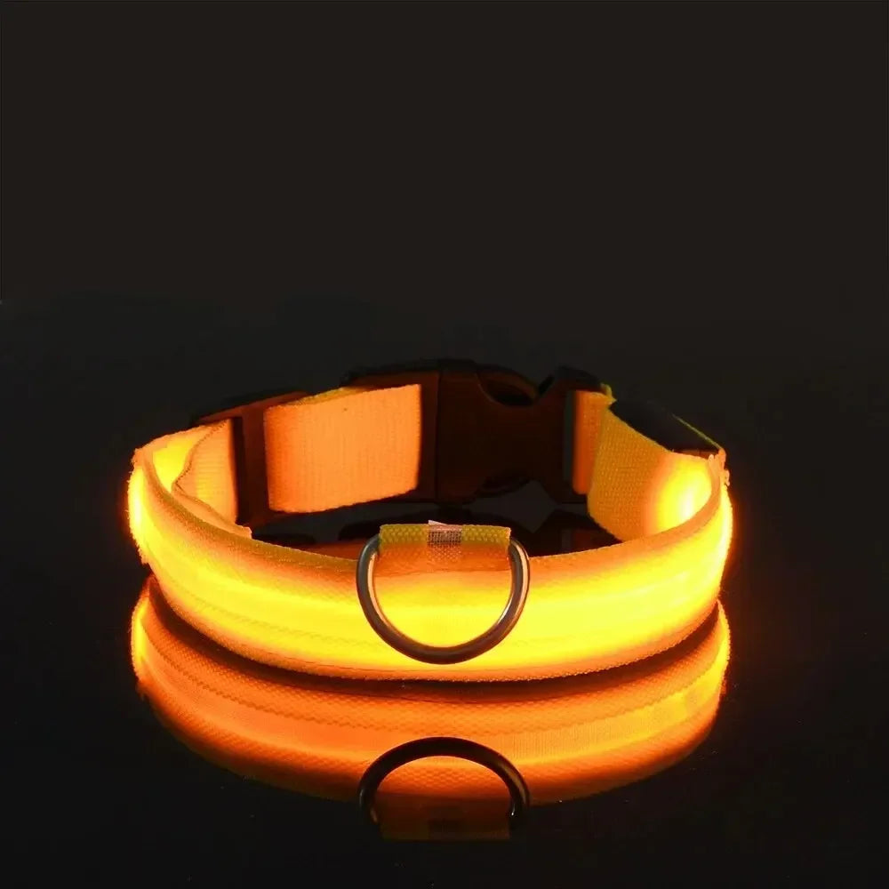 Furvio™Light Up LED Pet Dog Collar Safety Night Walking Flashing Glow In The Dark LED Pet Dog Battery Collar Small Medium Large Dog