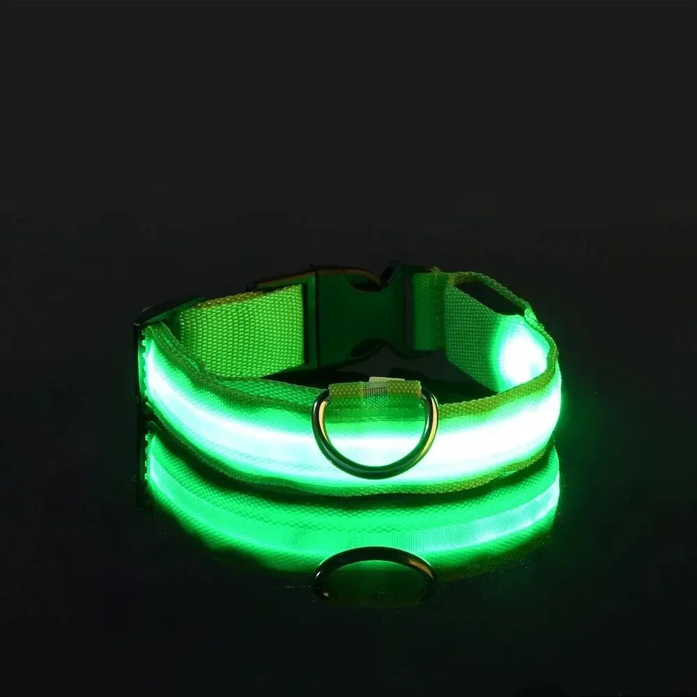 Furvio™Light Up LED Pet Dog Collar Safety Night Walking Flashing Glow In The Dark LED Pet Dog Battery Collar Small Medium Large Dog
