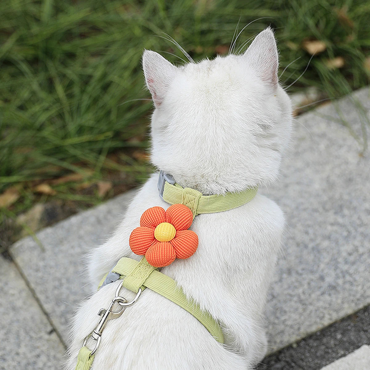 Furvio™ Cat Harness and Leash Sets Adjustable Dog Harness for Small Dog Leash Breashable Pet Harness Out Walking Dog Strap Cat Accessory