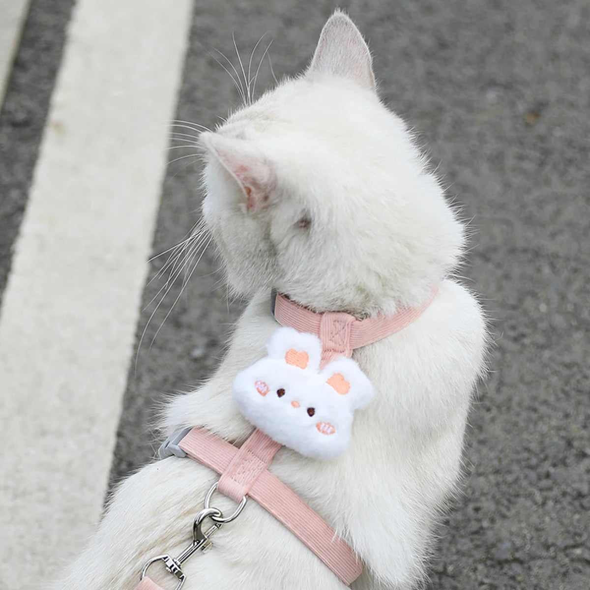 Furvio™ Cat Harness and Leash Sets Adjustable Dog Harness for Small Dog Leash Breashable Pet Harness Out Walking Dog Strap Cat Accessory