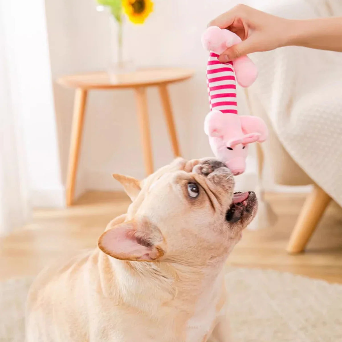 Furvio™ Pet Dogs, Cats, Plush Cartoon Embroidery, Bite Resistant and Stress Relieving, Ducks, Pigs, Elephants, Cute Vocalizations Toys
